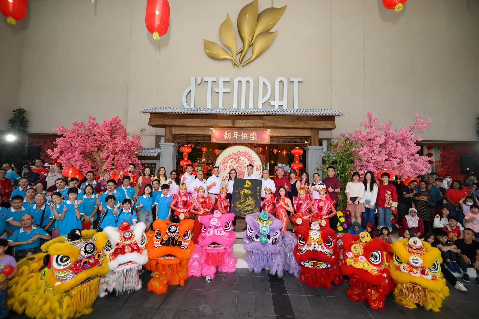 matrixcsr_20250207 203